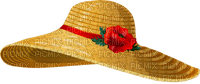 шляпа - zdarma png