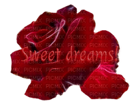 dulcineia8 rosas - 免费PNG