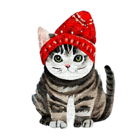 kikkapink watercolor cute animal winter cat - PNG gratuit