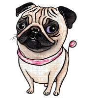 kikkapink dog pug watercolor animal - фрее пнг