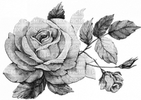 soave deco flowers vintage  black white - δωρεάν png