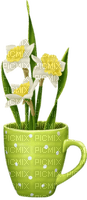 daffodils Bb2 - png gratis