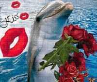 delfino kisss - Free PNG