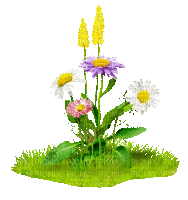 Animated.Flowers.White.Yellow - By KittyKatLuv65 - Ingyenes animált GIF