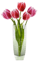 vase with tulips - ilmainen png