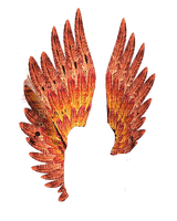 siivet, wings - 免费PNG