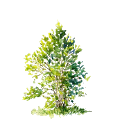 watercolor green tree summer - GIF animate gratis