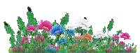 nbl-flower - Bezmaksas animēts GIF