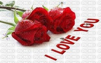 RED ROSES - LOVE - ingyenes png