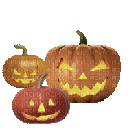 pumpkin-citrouille-halloween - GIF animé gratuit