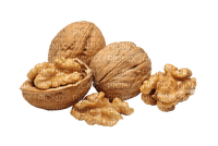 nuts bp - Free PNG