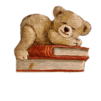 Teddy, Bücher - бесплатно png