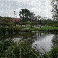Pond Background - png gratis