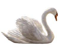 Kaz_Creations Birds Bird Swan - PNG gratuit