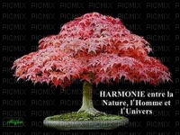 harmonie entre la nature et l'homme - PNG gratuit