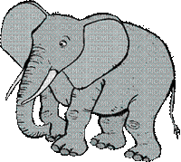 éléphant - GIF animado grátis