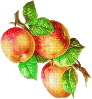 soave deco fruit apple branch  red green - zdarma png