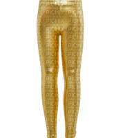 Gold Leggings - By StormGalaxy05 - png grátis