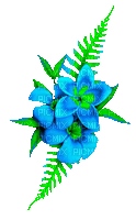 Animated.Flowers.Blue.Green - By KittyKatLuv65 - GIF animado gratis