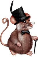 raton - nemokama png