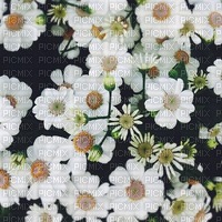 Flowers1 - фрее пнг