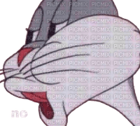 Bugs Bunny no - Free PNG