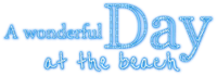 A Wonderful Day at the beach.Text.Blue - бесплатно png