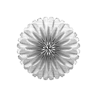ani-flash-blomma-deco - Ücretsiz animasyonlu GIF