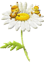Bees a nd Flower gif - GIF animé gratuit