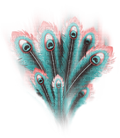 soave deco peacock feathers pink teal - безплатен png