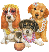 Salomelinda chiens ! - GIF animasi gratis