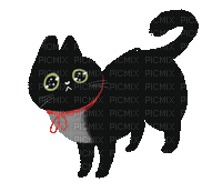 Sad Black Cat - GIF animé gratuit