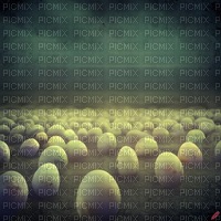 Eggs - nemokama png