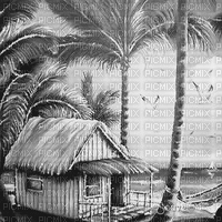 soave background animated summer tropical - Bezmaksas animēts GIF