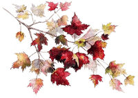 autumn decoration branch leaves__Blue DREAM 70 - Free PNG