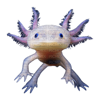 Axolotl - nemokama png