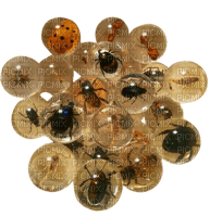 bug balls - Free PNG
