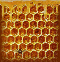 Bee.Abeille.Miel.Honey.Victoriabea - Free animated GIF