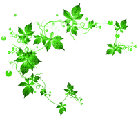 Leaves.Green - zadarmo png