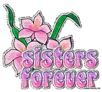 sister forever - Free animated GIF