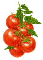 nbl-tomato - png gratis