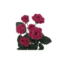 rose violette.Cheyenne63 - фрее пнг
