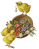 Ostern, Küken, Blumen - ilmainen png