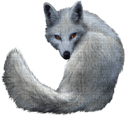 volpe fox laurachan - png gratuito
