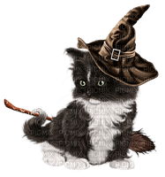 Halloween.Cat.Chat.Gato.Kitty.Victoriabea - PNG gratuit