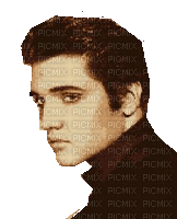 Elvis or Joey? - GIF animado grátis
