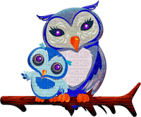 Kaz_Creations Owls - Free PNG