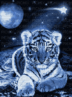 tiger - Animovaný GIF zadarmo