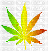 Weed Spin - 免费动画 GIF