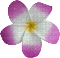 dolceluna summer spring flower - gratis png